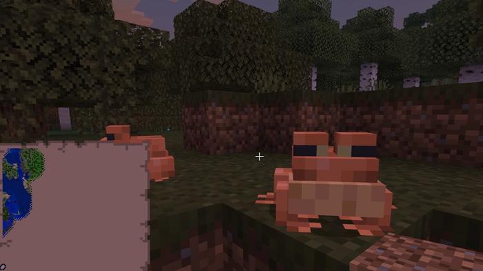 A frog in Minecraft.