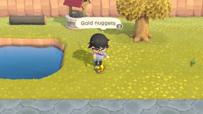 Animal Crossing New Horizons Gold Nugget from broken Rock