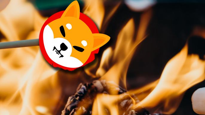 SHIB logo on a skewer being burned over a campfire