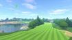 Image of the grassy golf course in Switch Sports.