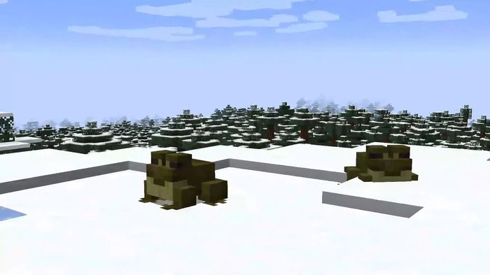 Frogs in the snow biome from 1.19 Wild Update