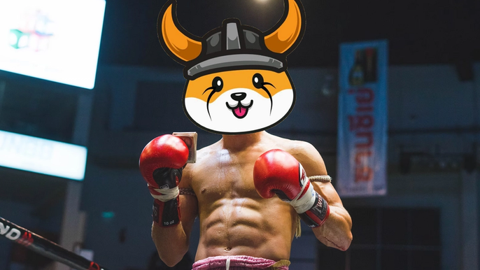 Image of a boxer posing in a boxing ring, with the Floki Inu logo as their face.
