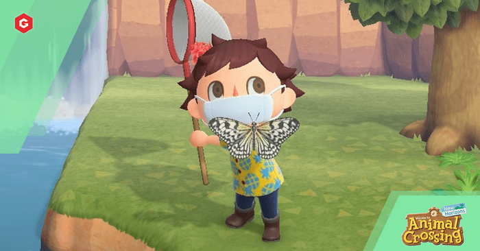 A player catches a common tiger butterfly in Animal Crossing New Horizons.