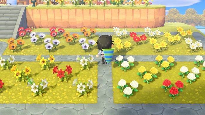 A player in the middle of some flower breeding patches in Animal Crossing: New Horizons.