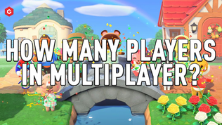How Many Players Can Play Animal Crossing: New Horizons In Online  Multiplayer and Local Co-op?