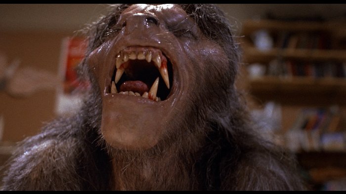 Werewolf, David Kessler, in An American Werewolf in London of 1981.