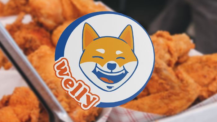 Welly SHIB logo on fried chicken