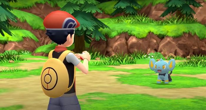 A Pokémon trainer about to go to battle with a Shinx in Pokémon Brilliant Diamond and Shining Pearl.