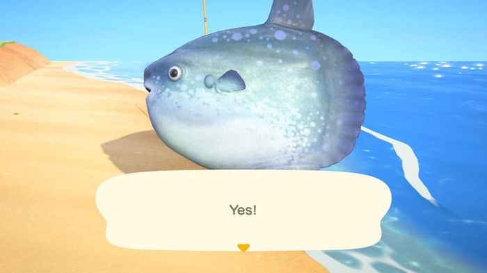 Catching a shark in Animal Crossing: New Horizons.