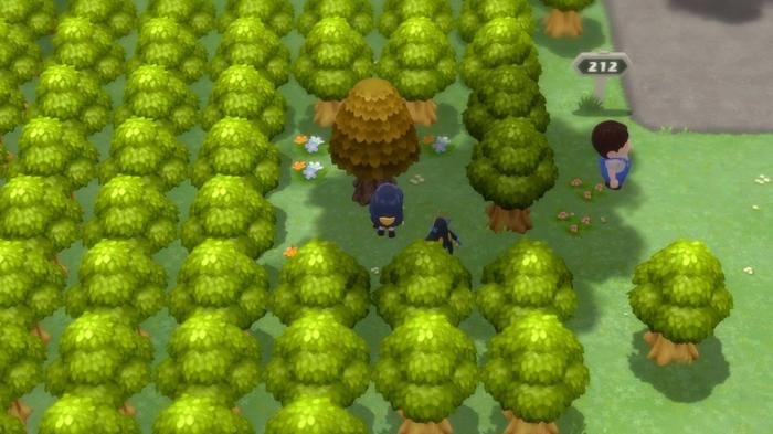 A Pokémon Trainer and their Empoleon standing in front of a honey tree on Route 212 in Pokémon Brilliant Diamond and Shining Pearl.