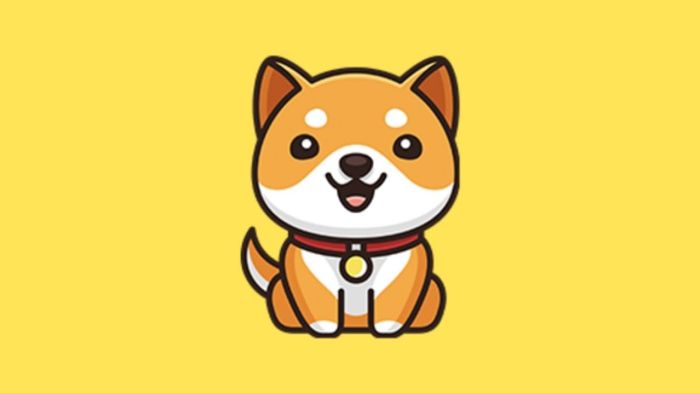 Baby Dogecoin logo on yellow background
