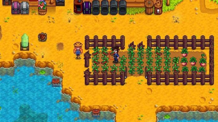 Stardew Valley. The player is stood in their crop field. The crops are fenced in by wooden fencing. There is a body of water to the lower half of the image. The start of the player's house can be seen at the top.