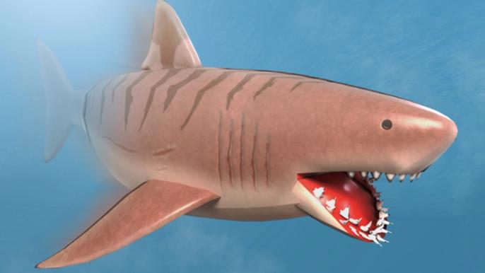 Image of a Roblox shark in SharkBite.