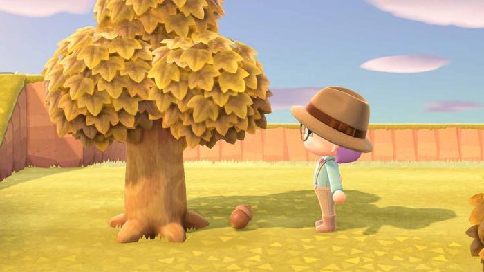 Animal Crossing New Horizons Acorn has fallen from tree