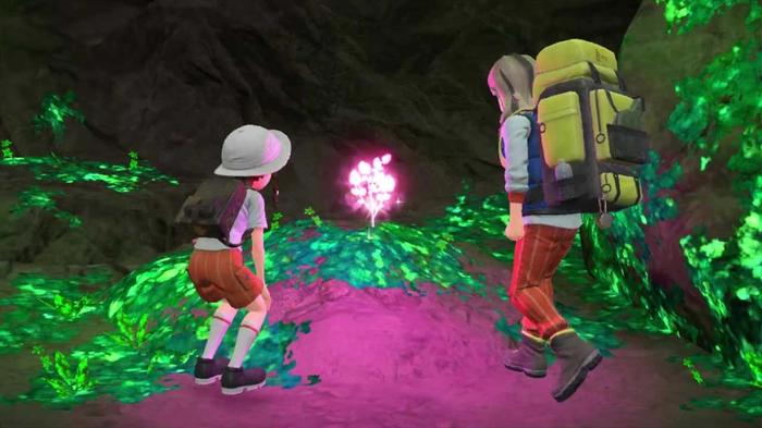 Two trainers finding Herba Mystica in Pokemon Scarlet and Violet.
