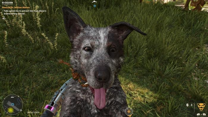 Boom Boom of Far Cry 6, an unlockable Amigo that pays tribute to Boomer of Far Cry 5.