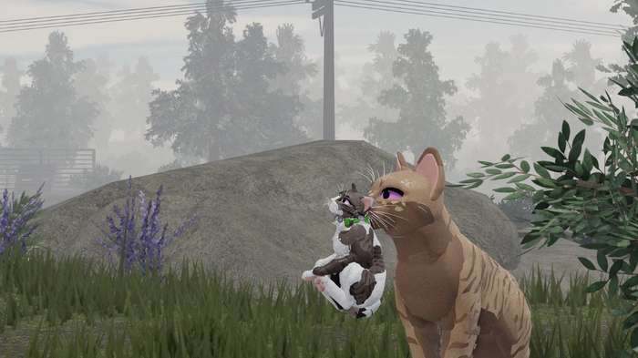 Screenshot from Warrior Cats: Ultimate Edition, showing cats in a grassy field looking to the sky