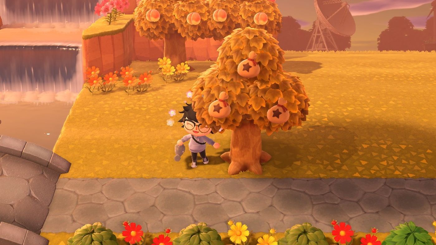 Animal Crossing New Horizons: How To Grow a Money Tree