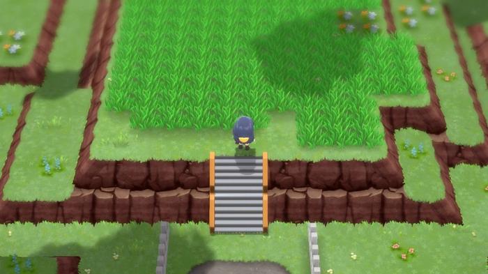 A Pokémon Trainer in the Trophy Garden where daily Pokémon can be found, including Eevee, in Pokémon Brilliant Diamond and Shining Pearl.