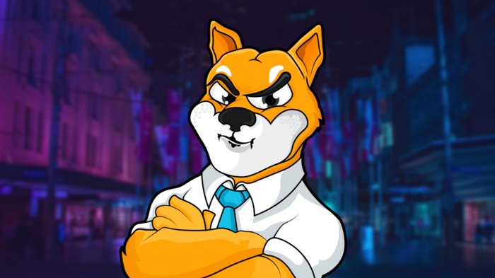 Shiba Inu Coin mascot stood in middle of a dark blue, blurred city street at night