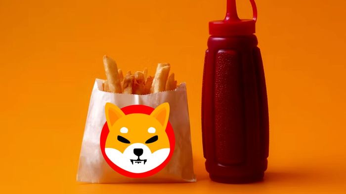 Shiba Inu Logo on bag of chips/fries next to ketchup bottle on yellow/orange background.