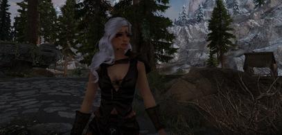A screenshot of an immersive disease in Skyrim.