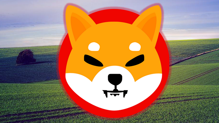 Shiba Inu Coin Metaverse, represented by a view of land and the countryside.