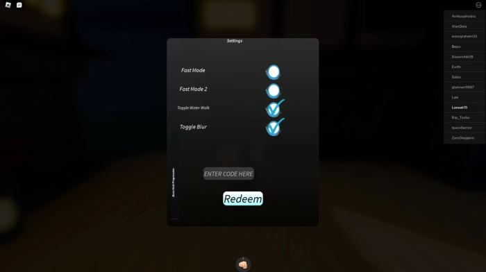 The Pirates Dream code box found in the game's settings menu.