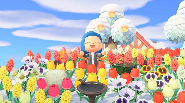 Animal Crossing New Horizons Winter Flowers 