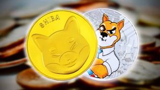 Market coin shiba cap inu Shiba Inu