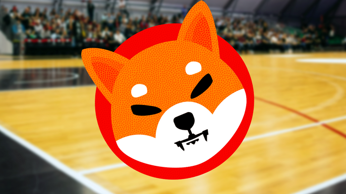 Shiba Inu basketball in a court.
