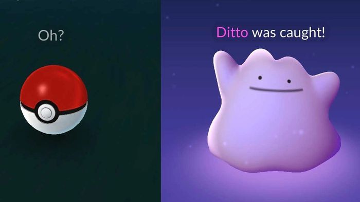 Ditto shown in its purple blob form.