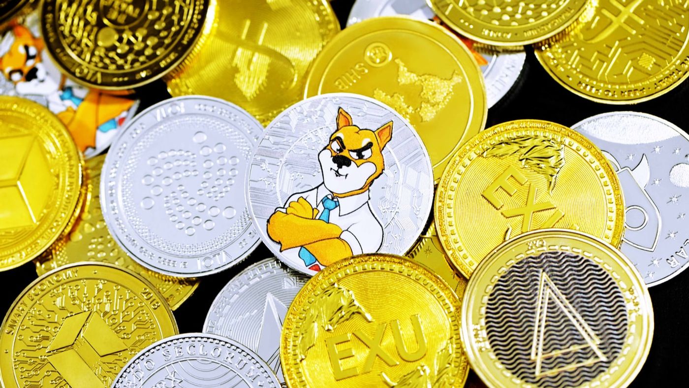 who owns the most shiba inu coin , when did shiba get listed on coinbase
