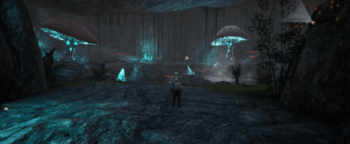 A look at the first dungeon you are tasked to enter in Ashes of Creation.