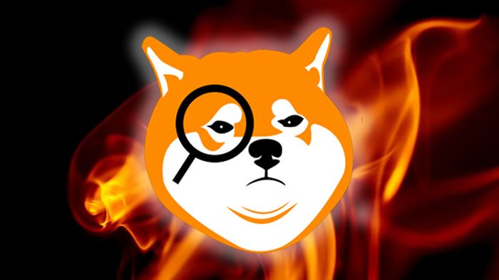 Shiba Search Logo on flame background