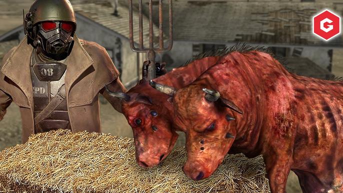 An image of some animals being fed in Fallout New Vegas.