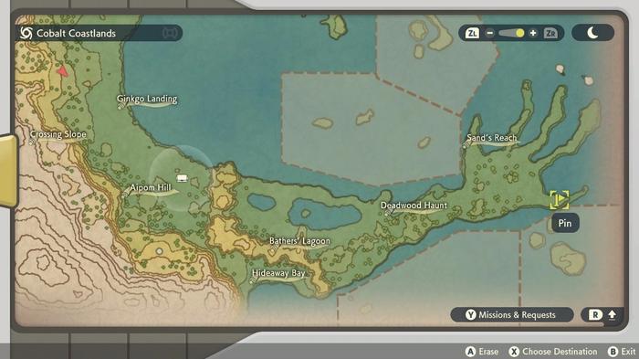 Yorrich's position is marked by a flag pin on a map of Cobalt Coastlands in Pokémon Legends: Arceus.