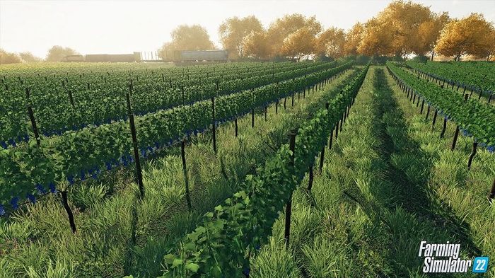 Farming Simulator 22 vineyards grapes