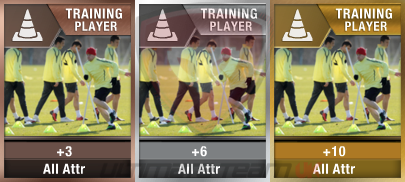 FIFA 13 Training Cards
