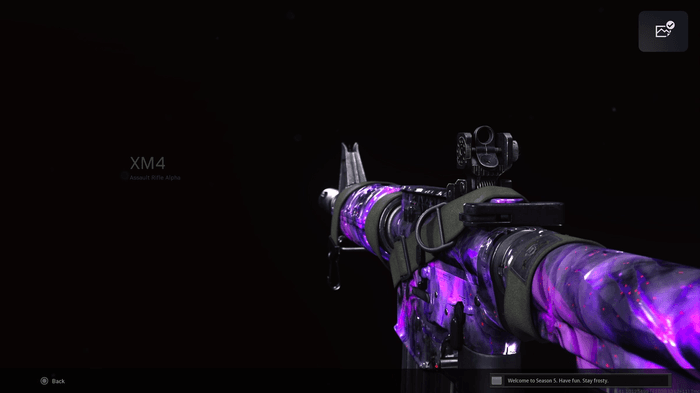 Warzone Zombies Camos