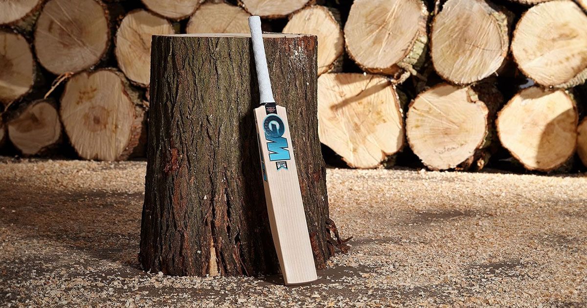 A light wood cricket bat featuring a white handle and blue branding resting on a tree stump.