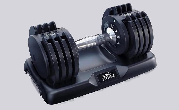 Best Adjustable Dumbbells Flybird product image of a black dumbbell with a silver bar.