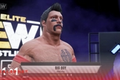 AEW Fight Forever Custom Wrestler