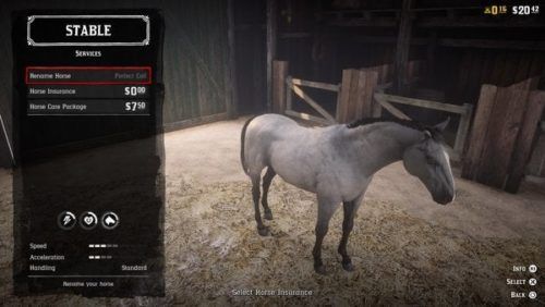 horse insurance red dead online