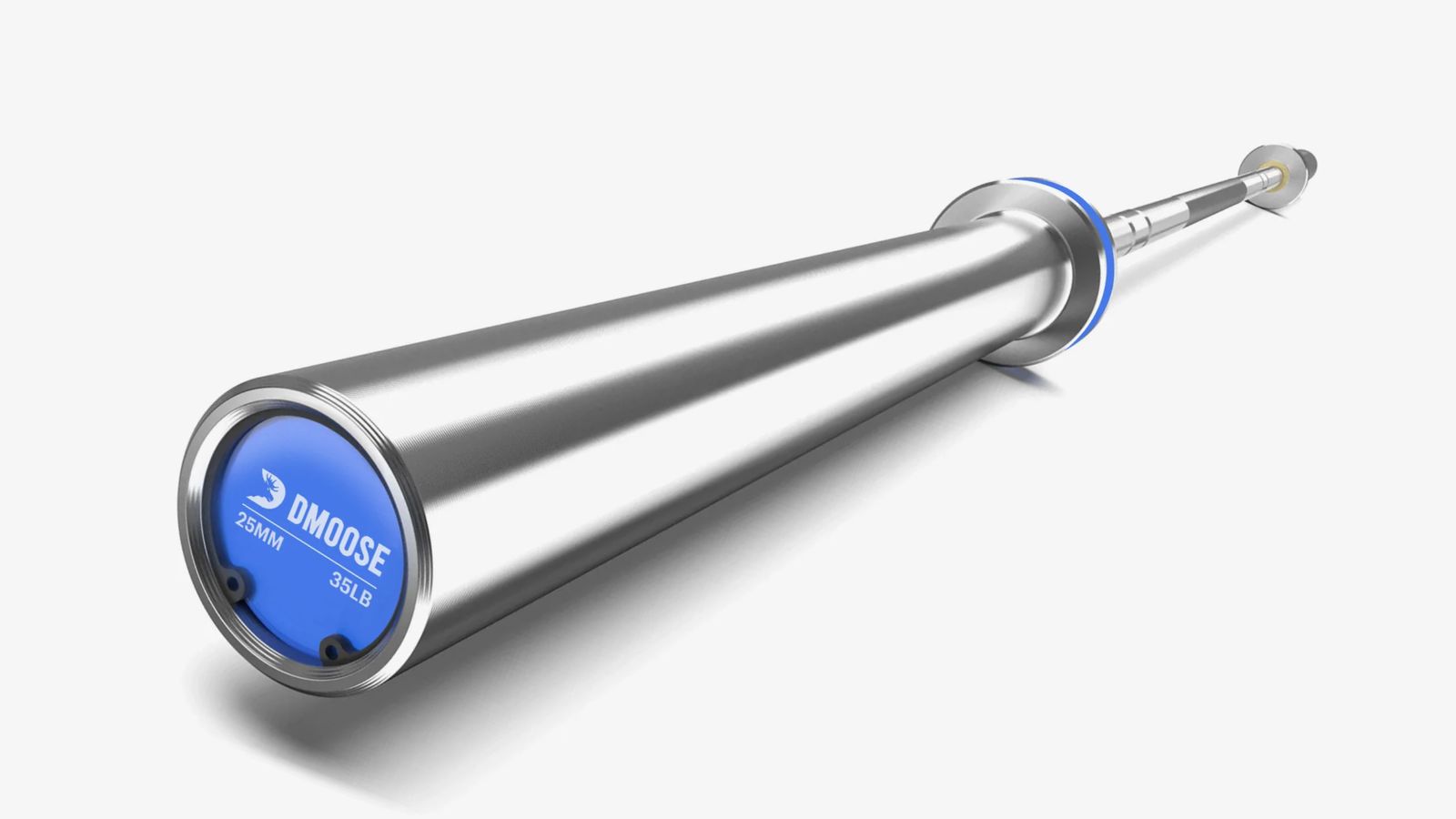 DMoose Regional Barbell product image of a silver metal barbell featuring a blue end cap.