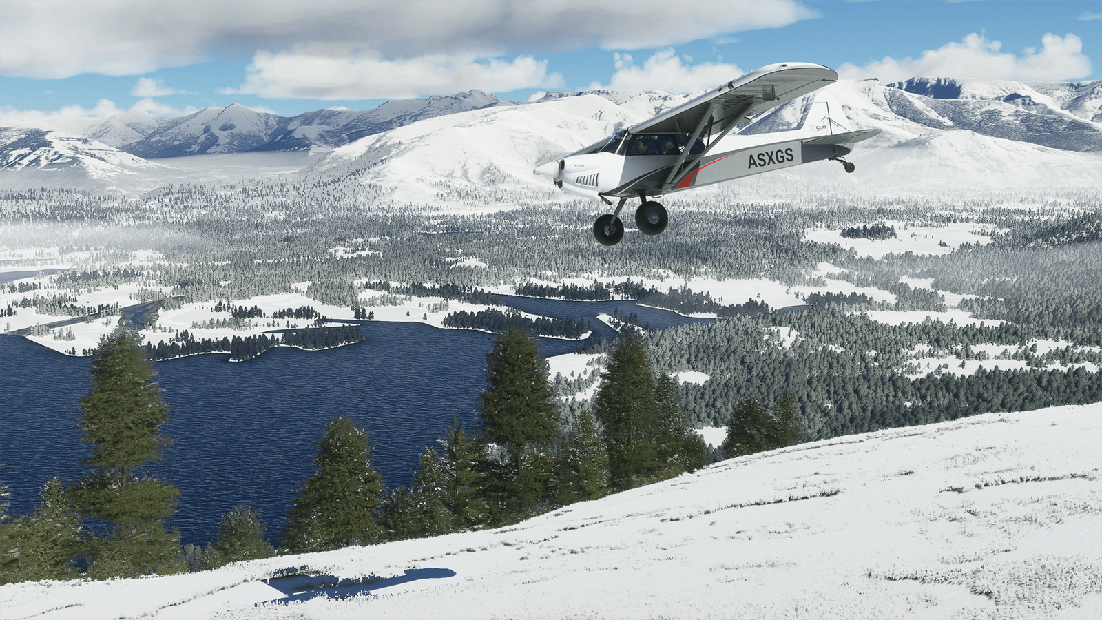 Microsoft Flight Simulator Snow Sim Update 2