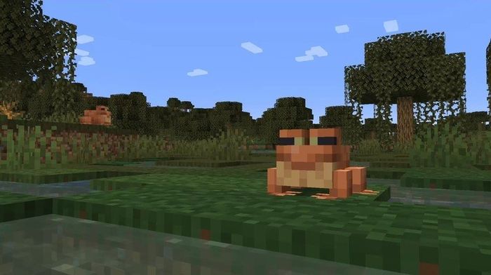 Minecraft 1.1.9 The Wild frog mobs swamp biome