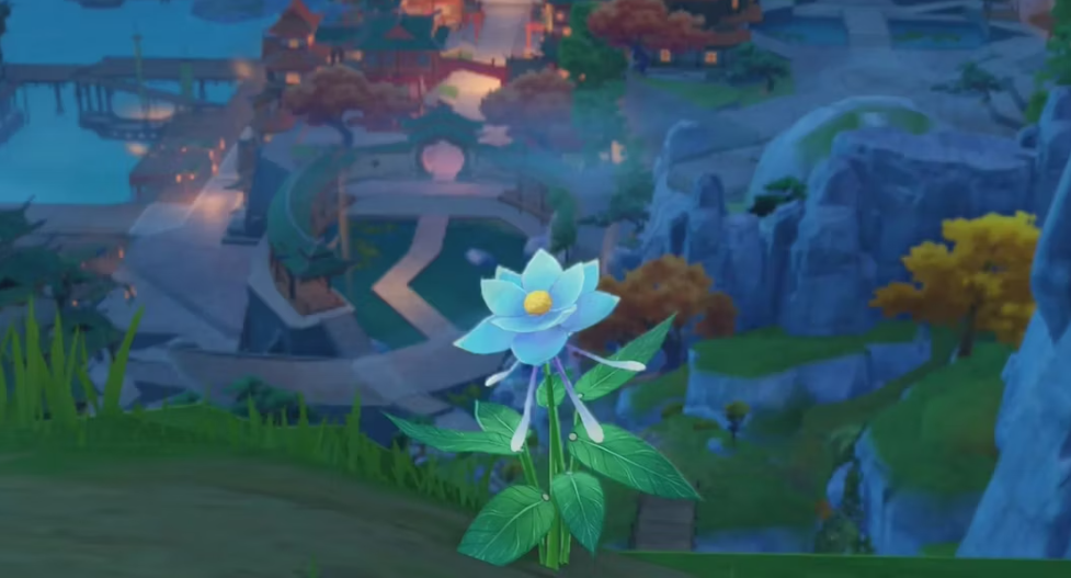 A screenshot of a Glaze Lily from Genshin Impact 