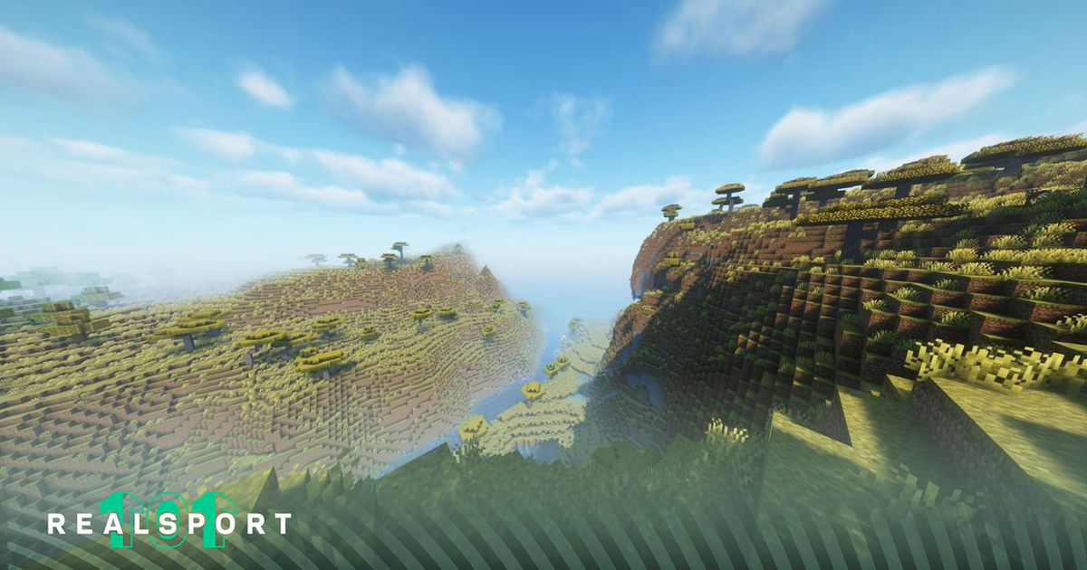 A screenshot of a vast Minecraft world.