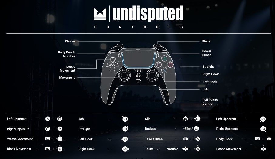 Undisputed Boxing Game controls
